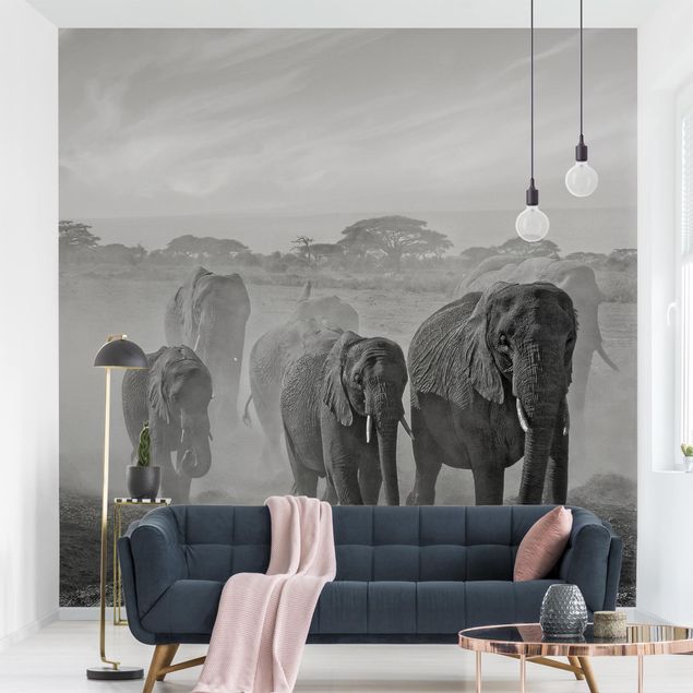 Fototapete Afrika Elefantenherde
