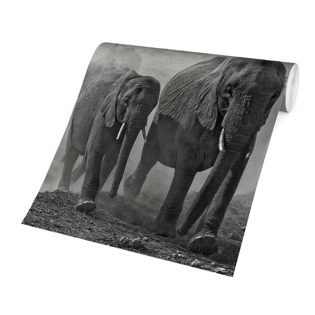 Fototapete modern Elefantenherde