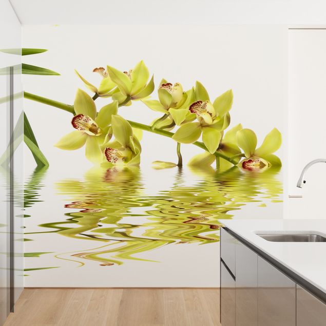 Fototapete Wellness Elegant Orchid Waters