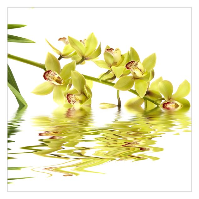 Fototapete Design Elegant Orchid Waters