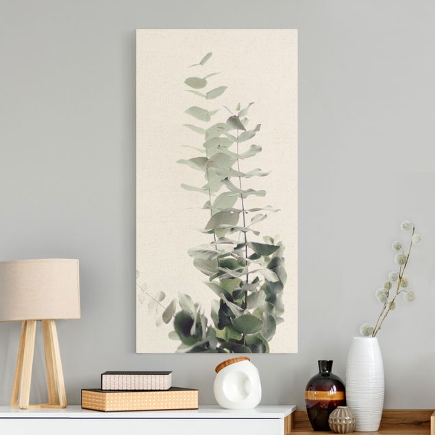 Leinwand Blumen Eukalyptus im Weißen Licht