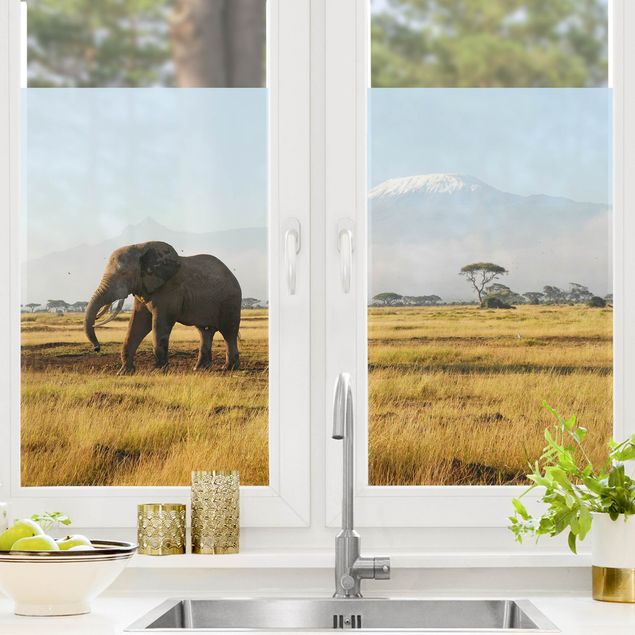 Fensterbilder Natur Elefanten vor dem Kilimanjaro in Kenia