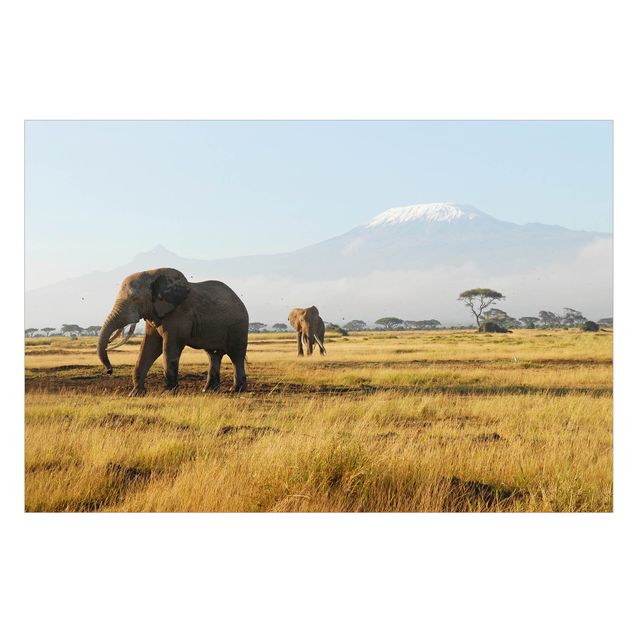 Fensterbild Tiere Elefanten vor dem Kilimanjaro in Kenia