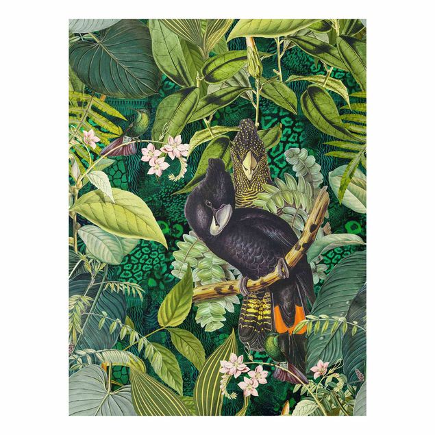 Bilder für die Wand Bunte Collage - Kakadus im Dschungel