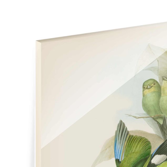 Glasbild - Vintage Illustration Tropische Vögel - Hochformat 4:3