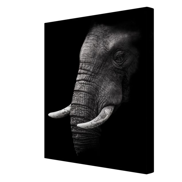 Leinwandbilder Schwarz-Weiß Dunkles Elefanten Portrait
