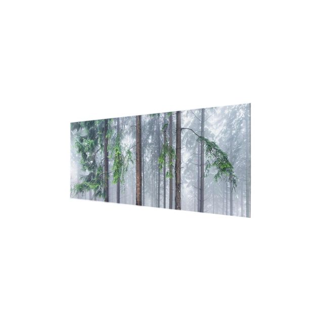 Glasbild - Nadelbäume im Winter - Panorama