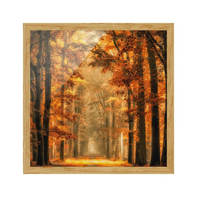 Bild mit Rahmen - Märchenwald im Herbst - Quadrat 1:1