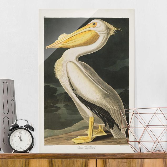 Wandbilder Tiere Vintage Lehrtafel Weißer Pelikan