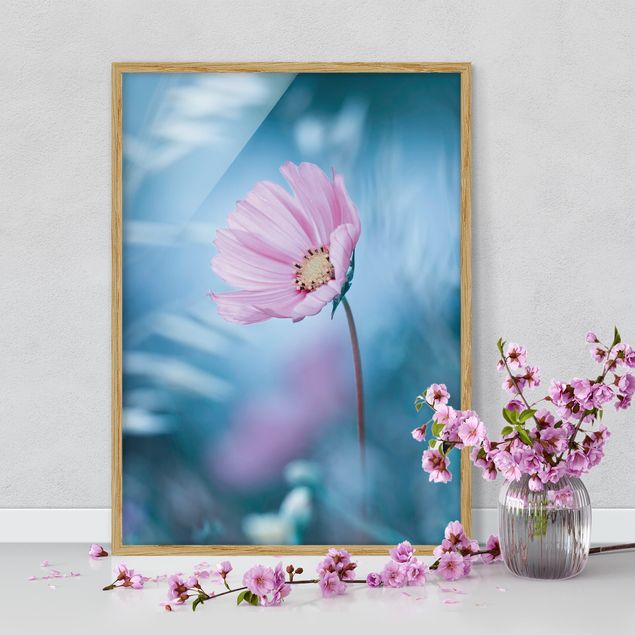 Blumen Bilder mit Rahmen Blüte in Pastell
