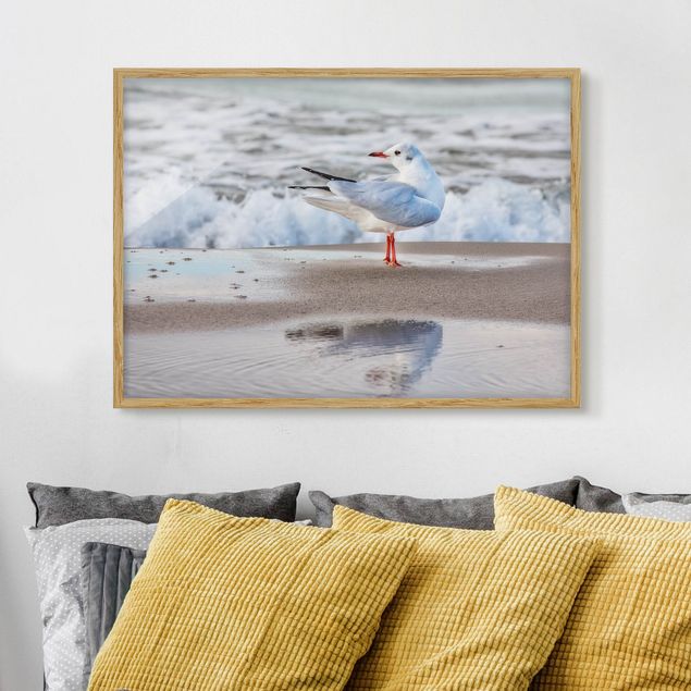 Wandbilder Tiere Möwe am Strand vor Meer