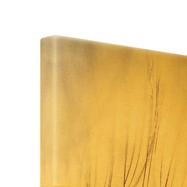 Leinwandbild Gold - Pusteblumen Nahaufnahme in wohnlicher Sepia Tönung - Hochformat 4:3
