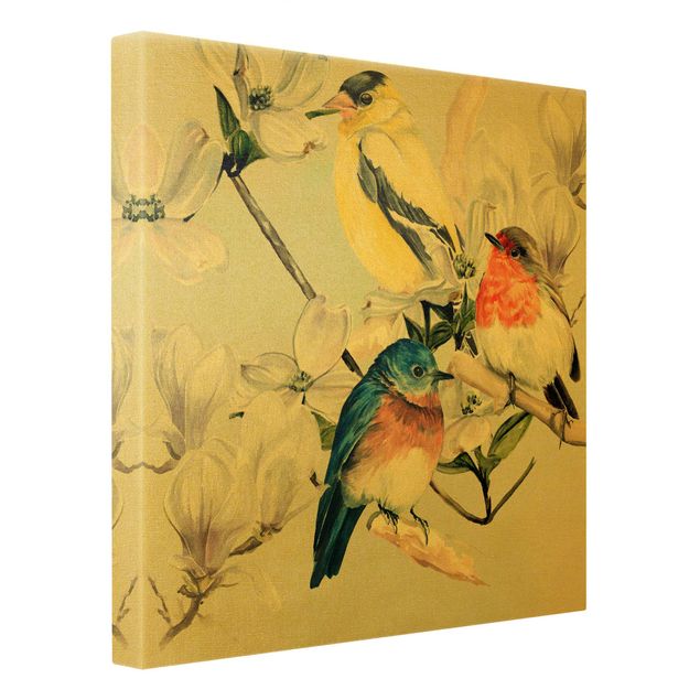 Leinwandbild Gold - Bunte Vögel auf einem Magnolienast II - Quadrat 1:1