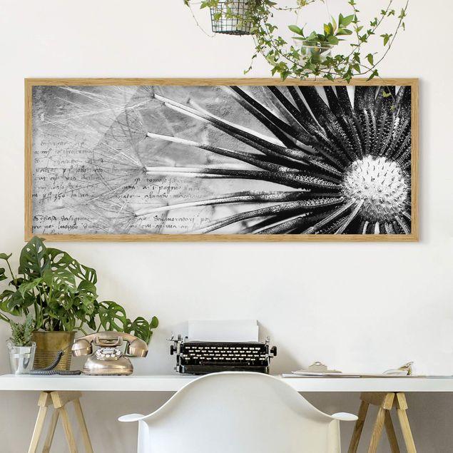 Blumen Bilder mit Rahmen Pusteblume Schwarz & Weiß