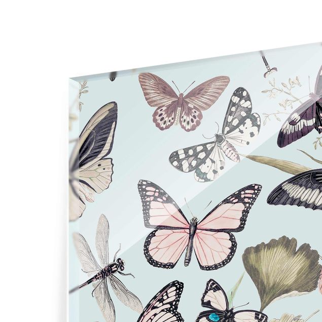 Glasbild - Vintage Collage - Schmetterlinge und Libellen - Quadrat 1:1