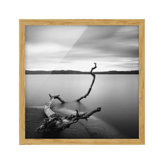 Gerahmte Bilder Sonnenuntergang am See schwarz-weiß