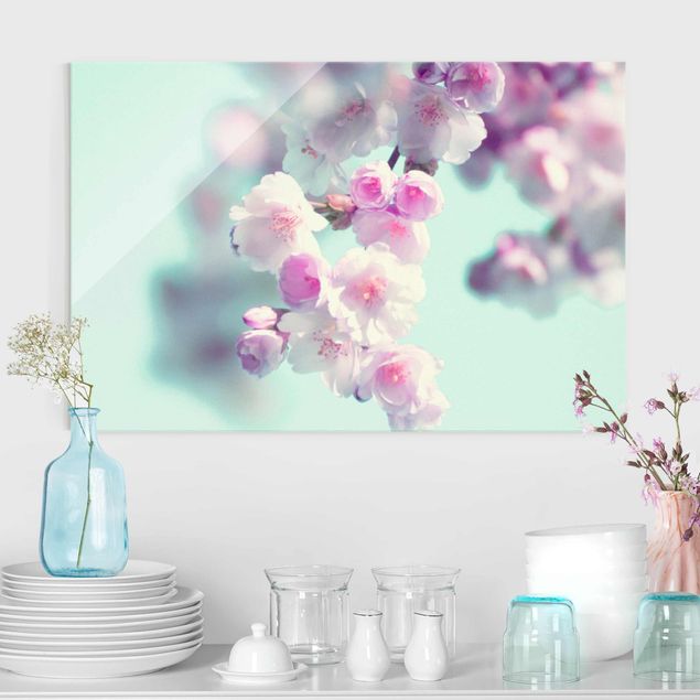 Wandbilder Glas XXL Farbenfrohe Kirschblüten