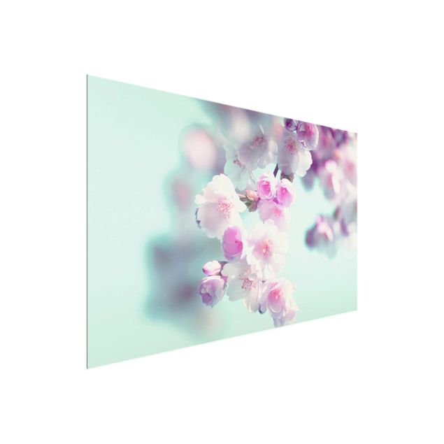 Bilder für die Wand Farbenfrohe Kirschblüten