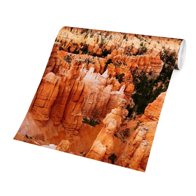 Fototapete - Farbenpracht des Grand Canyon