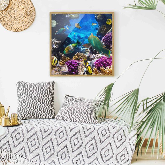 Wandbilder Underwater Dreams