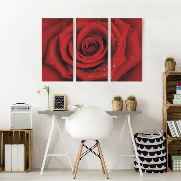 Wandbilder Rosen Rote Rose mit Wassertropfen