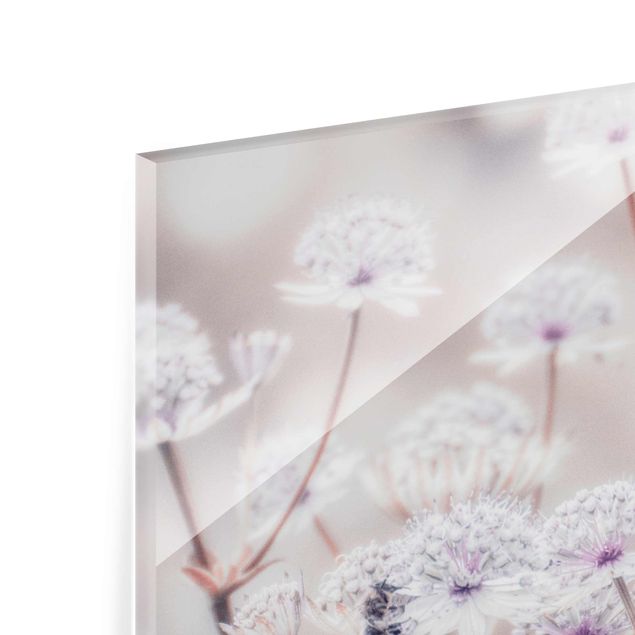 Glasbild - Federleichte Wildblumen - Querformat
