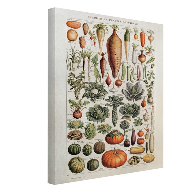 Bilder für die Wand Vintage Lehrtafel Gemüse