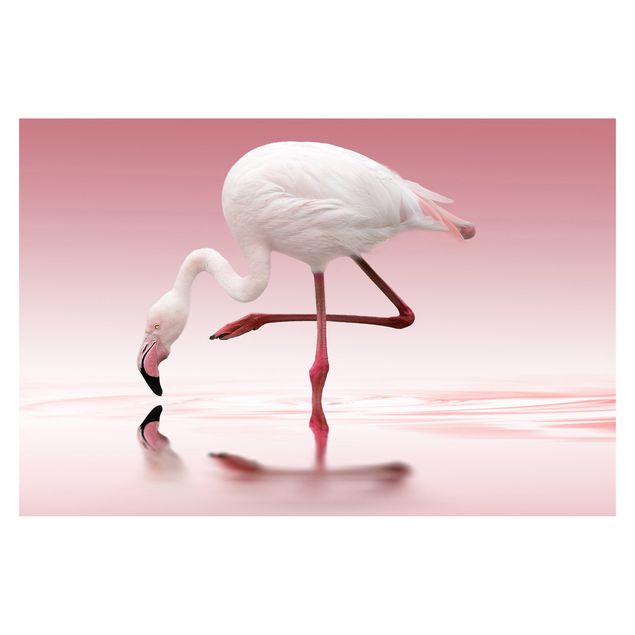 Fototapete Design Flamingo Dance