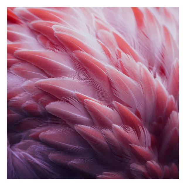 Wandtapete Design Flamingofedern Close-up