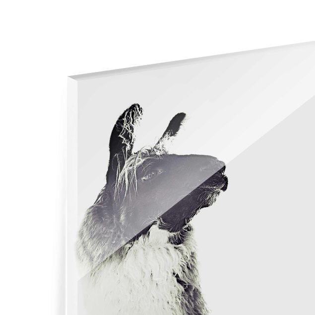 Glasbild - Fluffiges Lama - Hochformat