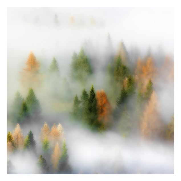 Fototapete Schlafzimmer Grau Nebelwald im Herbst