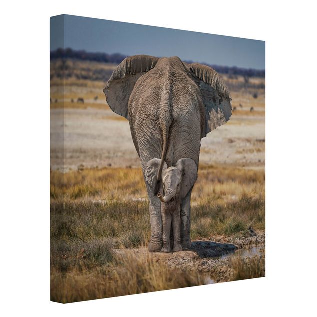 Wandbilder Tiere Frecher Elefant