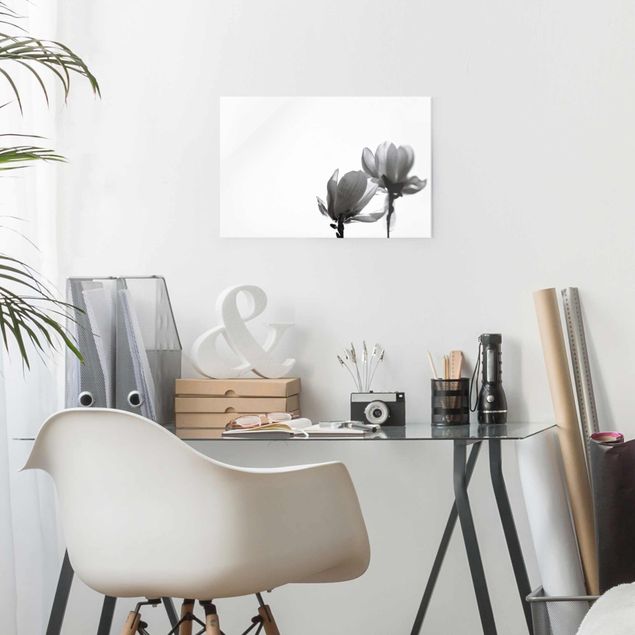 Glasbilder Natur Frühlingsbote Magnolie Schwarz Weiß