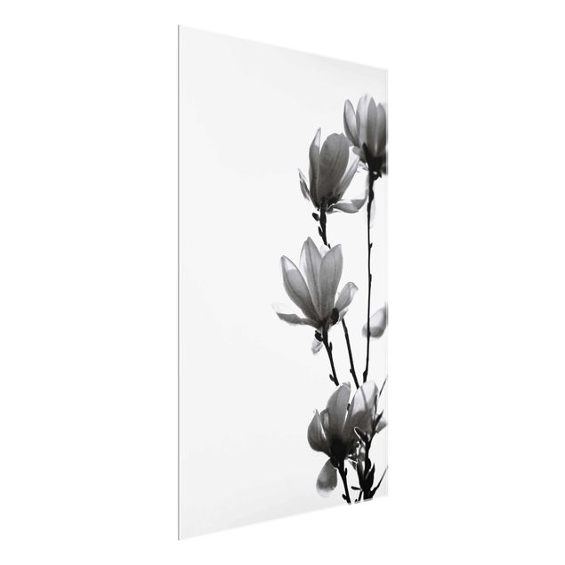 Wandbilder Frühlingsbote Magnolie Schwarz Weiß