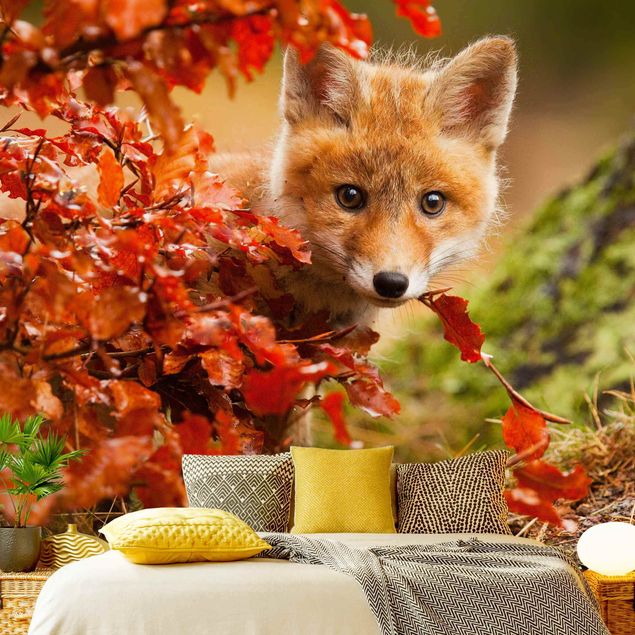 Moderne Tapeten Fuchs im Herbst
