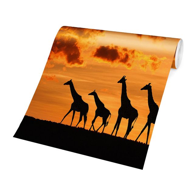 Wandtapete Tiere Fünf Giraffen