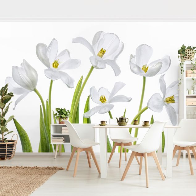 Tapete Landhaus Fünf Weiße Tulpen