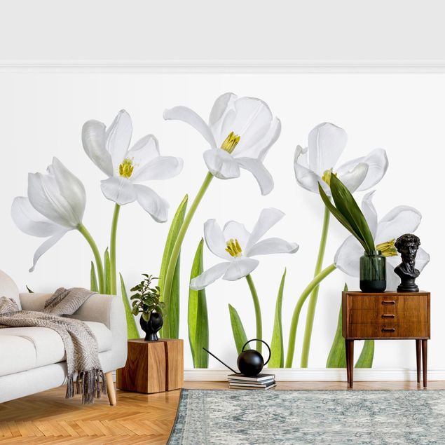 Moderne Tapeten Fünf Weiße Tulpen