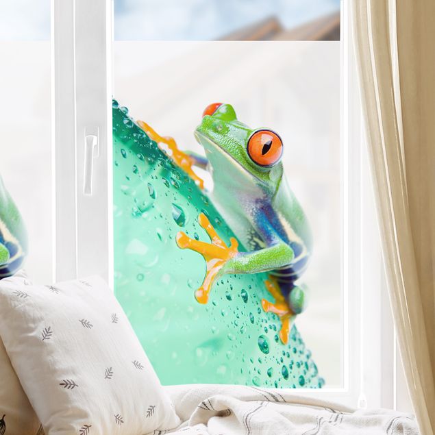 Fensterbild Tiere Frog