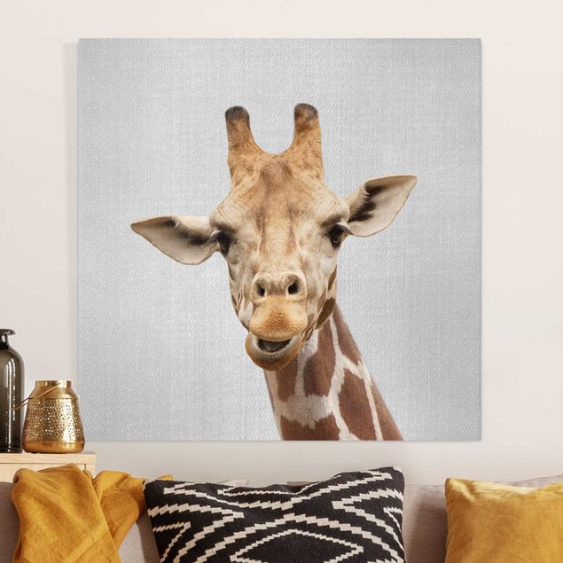 Leinwandbilder XXL Giraffe Gundel