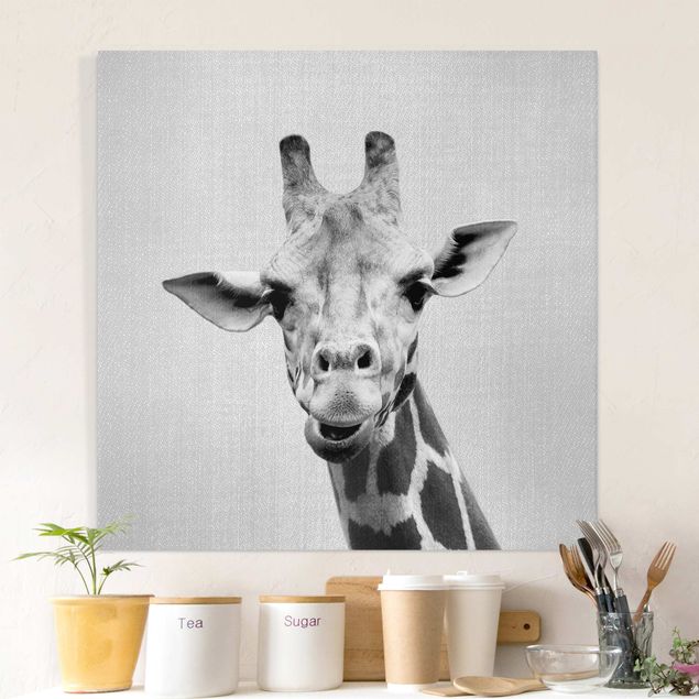 Leinwand Bilder XXL Giraffe Gundel Schwarz Weiß