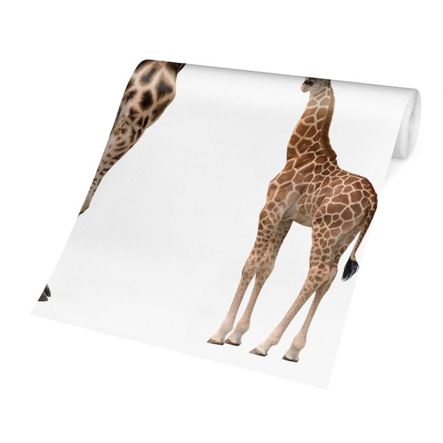 Design Tapete Giraffe Mutter und Kind