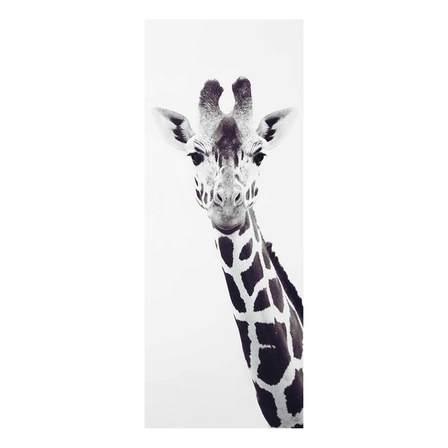 Wandbilder Giraffen Portrait in Schwarz-weiß