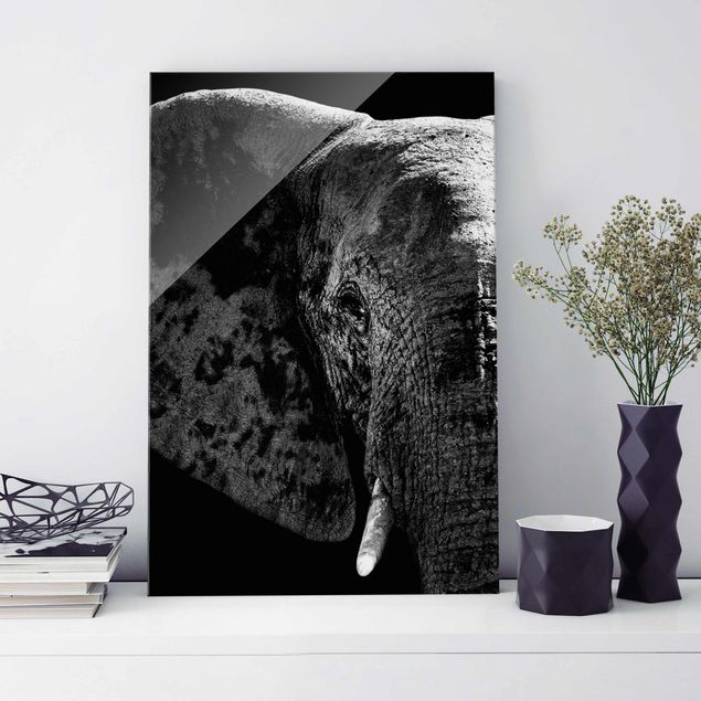 Wandbilder Glas XXL Afrikanischer Elefant schwarz-weiss