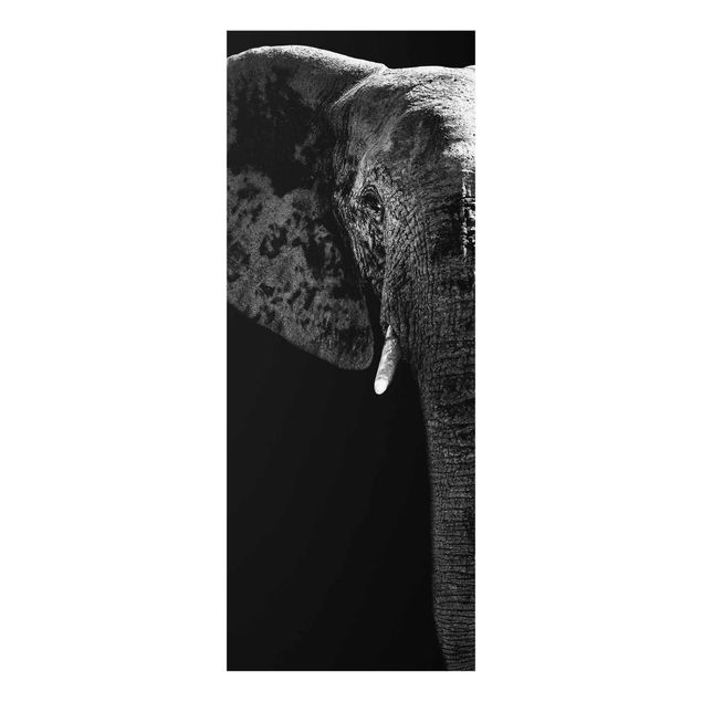 Philippe Hugonnard Bilder Afrikanischer Elefant schwarz-weiss