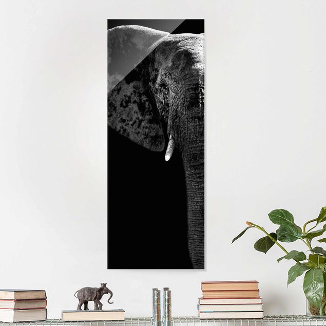 XXL Glasbilder Afrikanischer Elefant schwarz-weiss
