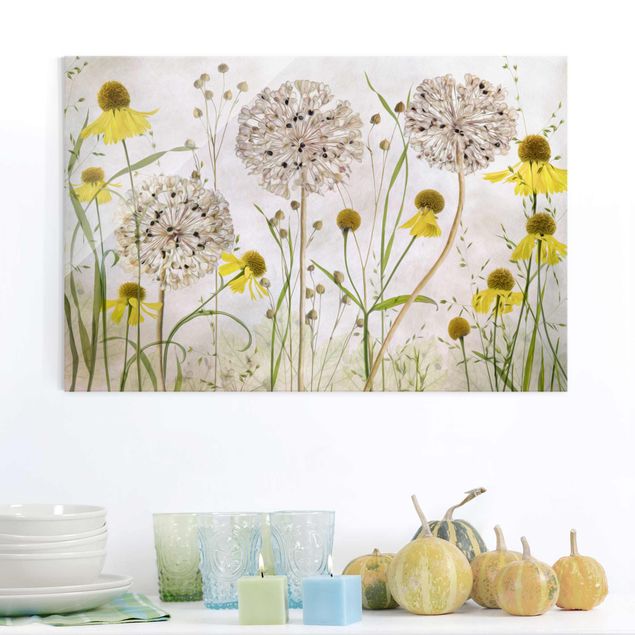Wandbilder Glas XXL Allium und Helenium Illustration