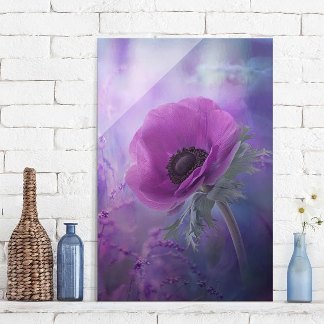 Wandbilder Glas XXL Anemonenblüte in Violett