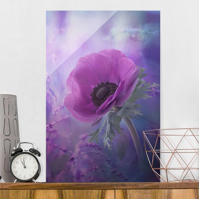 Glasbilder Pflanzen Anemonenblüte in Violett