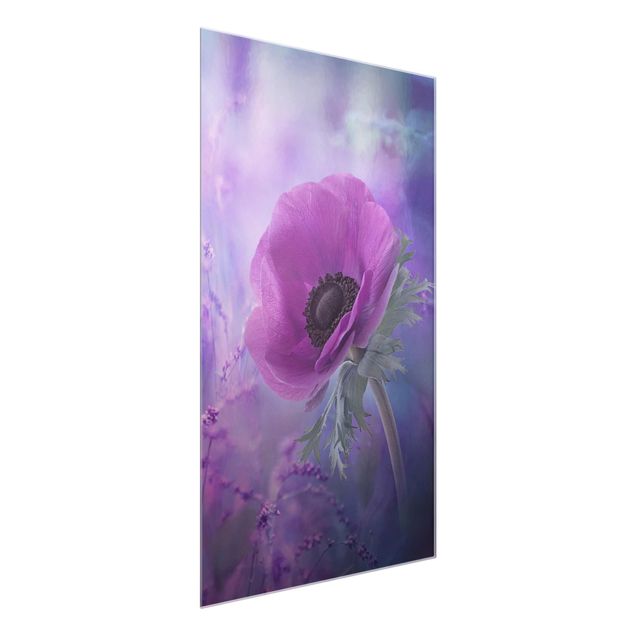 Bilder für die Wand Anemonenblüte in Violett